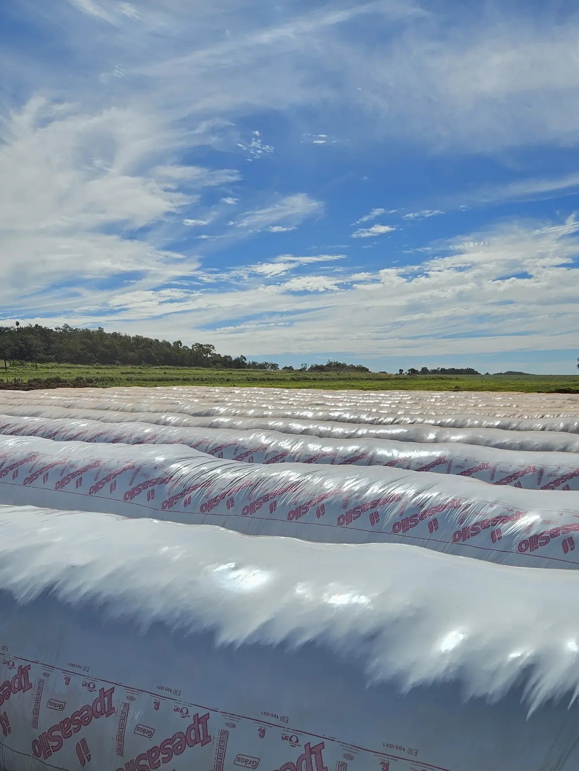 Silobolsas para armazenagem